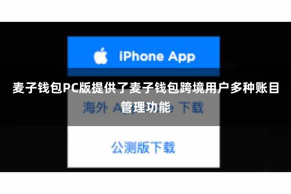 麦子钱包PC版提供了麦子钱包跨境用户多种账目管理功能