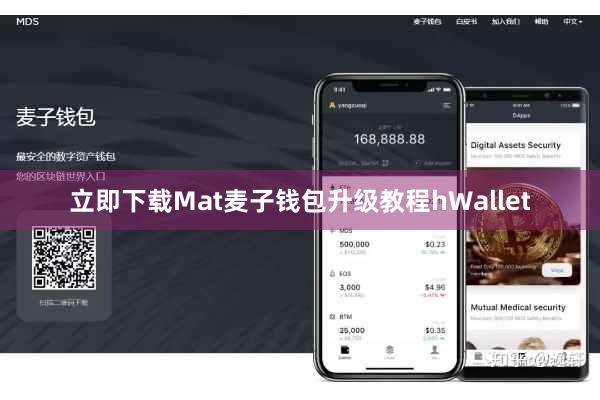立即下载Mat麦子钱包升级教程hWallet