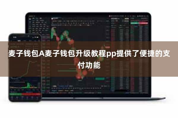 麦子钱包A麦子钱包升级教程pp提供了便捷的支付功能