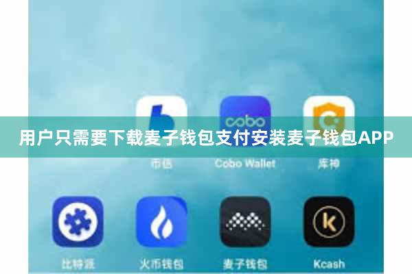 用户只需要下载麦子钱包支付安装麦子钱包APP