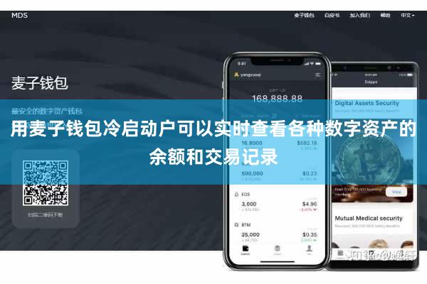 用麦子钱包冷启动户可以实时查看各种数字资产的余额和交易记录