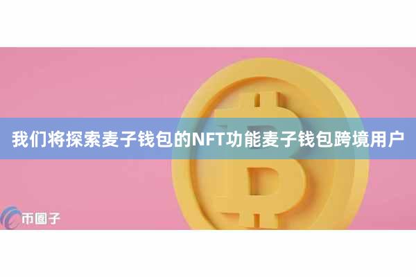 我们将探索麦子钱包的NFT功能麦子钱包跨境用户