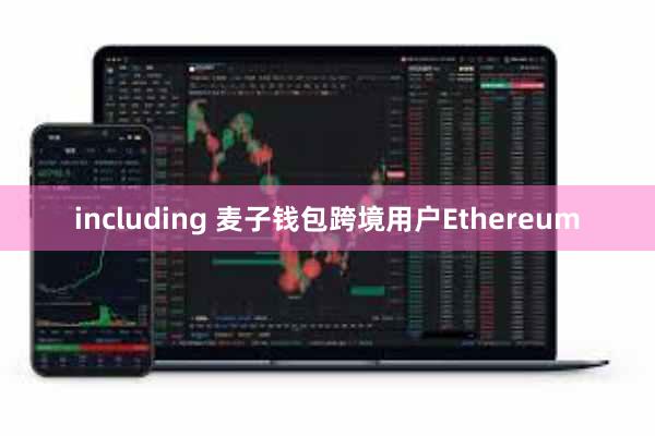 including 麦子钱包跨境用户Ethereum