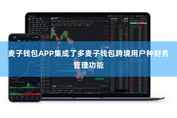 麦子钱包APP集成了多麦子钱包跨境用户种财务管理功能
