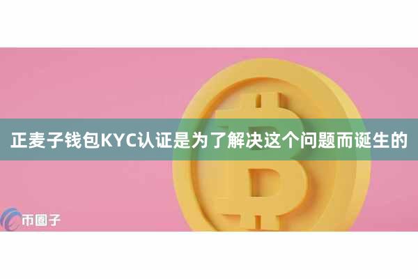 正麦子钱包KYC认证是为了解决这个问题而诞生的