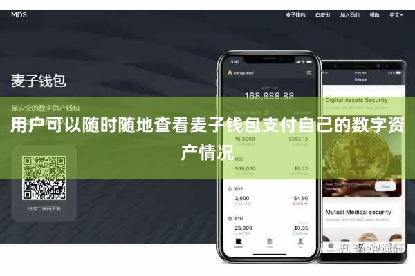用户可以随时随地查看麦子钱包支付自己的数字资产情况