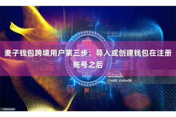 麦子钱包跨境用户第三步：导入或创建钱包在注册账号之后