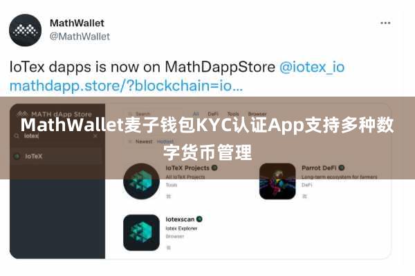 MathWallet麦子钱包KYC认证App支持多种数字货币管理