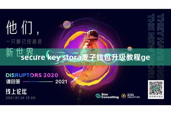 secure key stora麦子钱包升级教程ge
