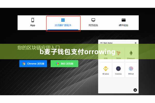 b麦子钱包支付orrowing