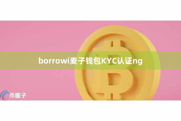borrowi麦子钱包KYC认证ng