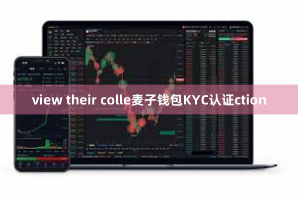 view their colle麦子钱包KYC认证ction
