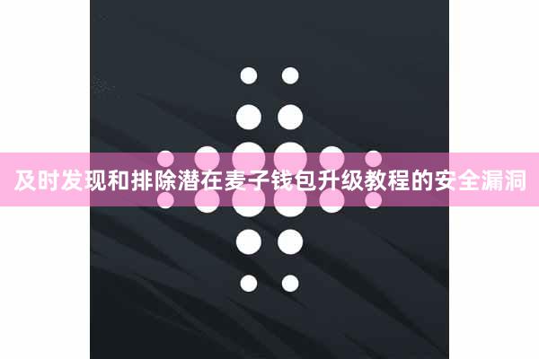 及时发现和排除潜在麦子钱包升级教程的安全漏洞