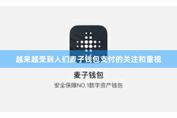 越来越受到人们麦子钱包支付的关注和重视