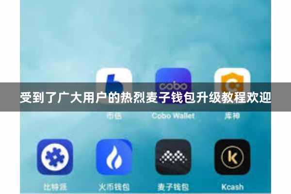 受到了广大用户的热烈麦子钱包升级教程欢迎