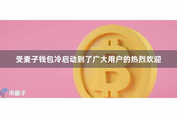 受麦子钱包冷启动到了广大用户的热烈欢迎