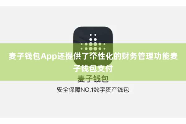 麦子钱包App还提供了个性化的财务管理功能麦子钱包支付