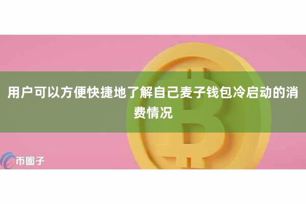 用户可以方便快捷地了解自己麦子钱包冷启动的消费情况