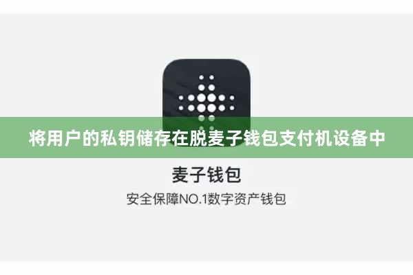 将用户的私钥储存在脱麦子钱包支付机设备中