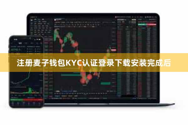 注册麦子钱包KYC认证登录下载安装完成后