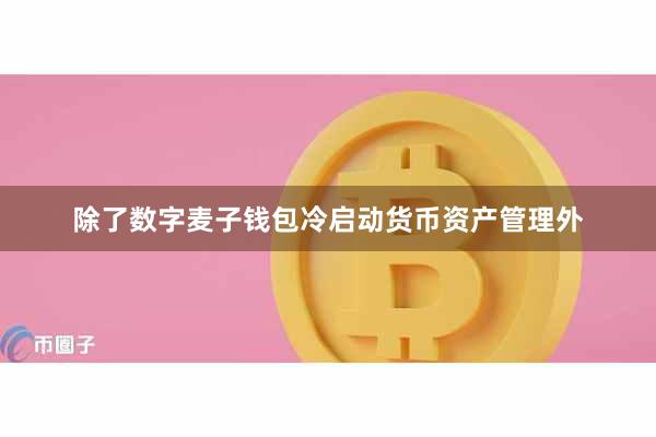 除了数字麦子钱包冷启动货币资产管理外