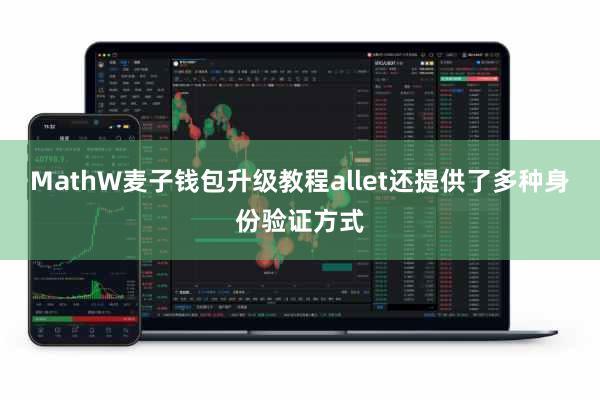 MathW麦子钱包升级教程allet还提供了多种身份验证方式