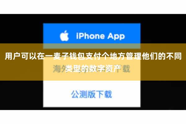 用户可以在一麦子钱包支付个地方管理他们的不同类型的数字资产