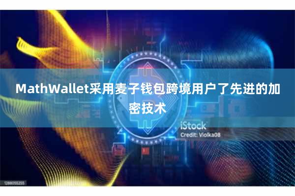 MathWallet采用麦子钱包跨境用户了先进的加密技术